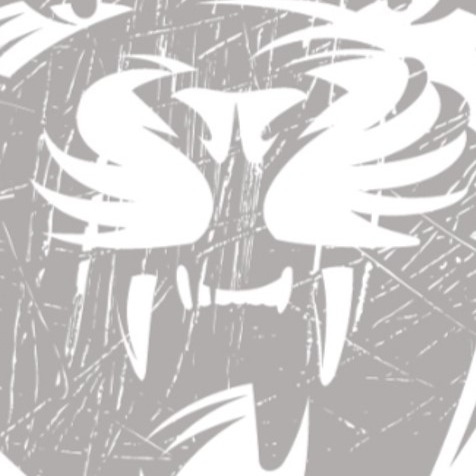 Huntsville Wrestling Logo